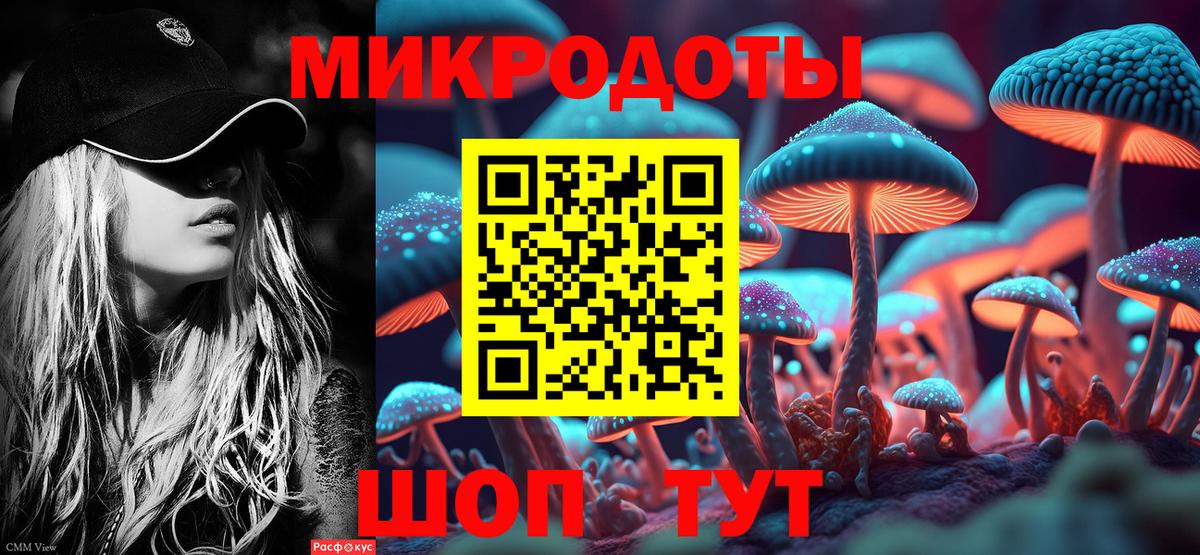 Псилоцибиновые грибы мицелий  Вход с VPN  Новый Уренгой 